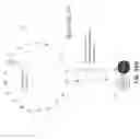Fig. 44 - OLIGONUCLEOTIDE PROBES AND USES THEREOF