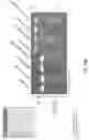 Fig. 46 - OLIGONUCLEOTIDE PROBES AND USES THEREOF