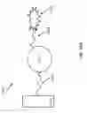 Fig. 65 - OLIGONUCLEOTIDE PROBES AND USES THEREOF