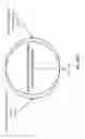 Fig. 71 - OLIGONUCLEOTIDE PROBES AND USES THEREOF
