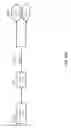 Fig. 76 - OLIGONUCLEOTIDE PROBES AND USES THEREOF