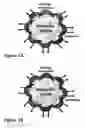 Fig. 02 - NUCLEIC ACID APTAMER-BASED DIAGNOSTIC METHODS WITH NOVEL TECHNIQUES FOR SIGNAL ENHANCEMENT