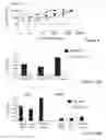 Fig. 09 - NUCLEIC ACID APTAMER-BASED DIAGNOSTIC METHODS WITH NOVEL TECHNIQUES FOR SIGNAL ENHANCEMENT