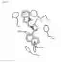 Fig. 24 - Methods for identifying modulators of calcium-sensing receptors
