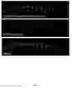Fig. 04 - Rationale, methods, and assays for identifying human and non-human primate taste specific genes and use thereof in taste modulator and therapeutic screening assays