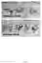 Fig. 26 - Rationale, methods, and assays for identifying human and non-human primate taste specific genes and use thereof in taste modulator and therapeutic screening assays
