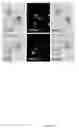 Fig. 31 - Rationale, methods, and assays for identifying human and non-human primate taste specific genes and use thereof in taste modulator and therapeutic screening assays