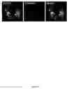 Fig. 33 - Rationale, methods, and assays for identifying human and non-human primate taste specific genes and use thereof in taste modulator and therapeutic screening assays
