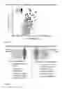 Fig. 08 - Monolayer of PBMCs or bone-marrow cells and uses thereof