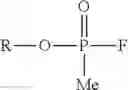 Fig. 06 - Method for Detecting Human Butyrylcholinesterase