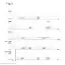 Fig. 04 - Management of synchronisation with a beacon