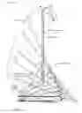 Fig. 06 - Device wiring