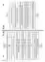 Fig. 09 - Multiple wireless communication systems stream slices based on geography