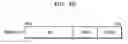 Fig. 06 - MEMORY DEVICE, MEMORY MODULE, AND OPERATING METHOD OF MEMORY DEVICE