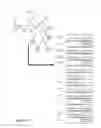 Fig. 30 - ARRANGEMENT OF DOCUMENTS IN A DOCUMENT FEED