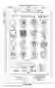 Fig. 06 - Device, method, and graphical user interface for classifying and populating fields of electronic forms
