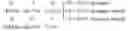 Fig. 08 - METHOD FOR EVALUATING DRUG SENSITIVITY AND DISEASE VULNERABILITY BY ANALYZING CYCLIC AMP RESPONSIVE ELEMENT BINDING PROTEIN GENE
