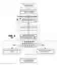 Fig. 01 - Hierarchical sharpness evaluation