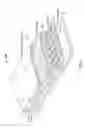 Fig. 04 - Organic light emitting diode (“OLED”) security authentication system