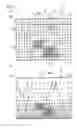 Fig. 08 - Image generation device, coordinate transformation table creation device and creation method