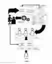 Fig. 02 - TEACHING PLAN OPTIMIZATION