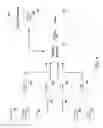 Fig. 08 - Escalation to a human operator