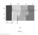 Fig. 08 - Providing video transitions