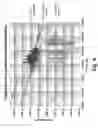 Fig. 09 - System and method for performing active scanning of a nuclear fuel rod