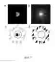 Fig. 08 - Low energy electron microscopy