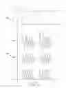 Fig. 06 - Fast start fluorescent light bulb