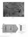 Fig. 02 - Shell-enabled vertical alignment and precision-assembly of a close-packed colloidal crystal film