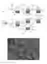 Fig. 04 - Shell-enabled vertical alignment and precision-assembly of a close-packed colloidal crystal film