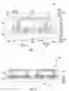 Fig. 02 - Semiconductor devices and methods of manufacturing the same
