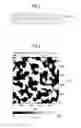 Fig. 02 - Semiconductor crystal substrate, infrared detector, method for producing semiconductor crystal substrate, and method for producing infrared detector