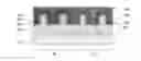Fig. 01 - Shared metal gate stack with tunable work function