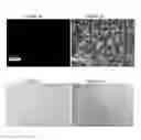 Fig. 04 - AMORPHOUS COPOLYESTER-BASED MATERIAL IN A PHOTOVOLTAIC MODULE