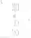 Fig. 03 - Ladder tetrazine polymers
