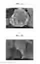 Fig. 02 - Composite cathode active material, cathode and lithium battery including the composite cathode active material and method of preparing the composite cathode active material