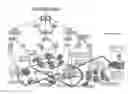 Fig. 01 - System, method, and apparatus for electric power grid and network management of grid elements
