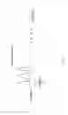 Fig. 04 - Method and device for assisting wavelength reallocation in wavelength division multiplexing optical network