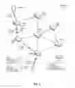 Fig. 02 - Content object return messages in a content centric network