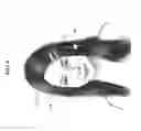 Fig. 07 - Nullifying biometrics