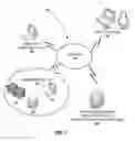 Fig. 02 - System for determining effectiveness and allocation of information security technologies