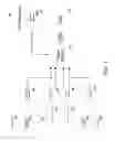 Fig. 08 - Dynamic initiation of automated call