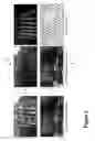 Fig. 08 - Taking photos through visual obstructions