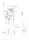 Fig. 04 - Flash thermography device for inspecting turbine components