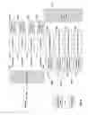 Fig. 12 - Substream multiplexing for display stream compression