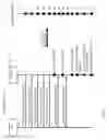 Fig. 08 - Analyzing and classifying signaling sets or calls