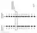 Fig. 09 - Analyzing and classifying signaling sets or calls
