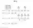 Fig. 08 - Method for terminal for reporting channel status information and apparatus for the method in wireless communication system supporting carrier aggregation